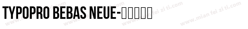 TypoPRO Bebas Neue字体转换